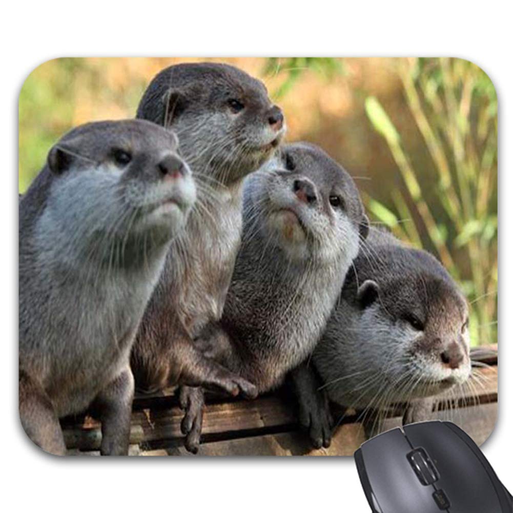 Adorable Sea Otters Mouse Pads 9 X 7.5in -Trendy Stylish Office Computer Accessories 9 x 7.5" Black