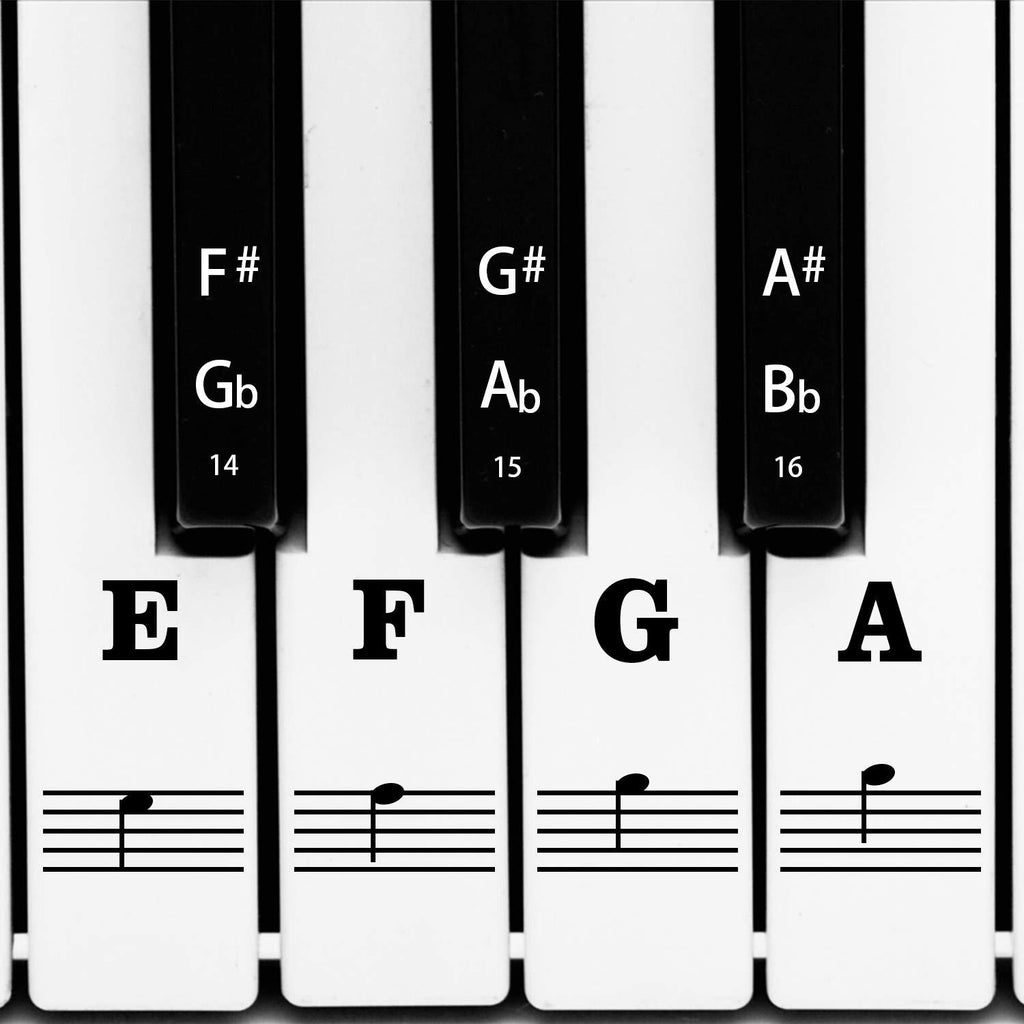 AIEX Piano Keyboard Music Note Full Set Stickers Removable & Transparent for White & Black 88/61/54/49 Keys