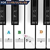 Piano Keyboard Sticker for 54/61/76/88 Key Music Note, Removable Full Set White and Black Keys Kids and Beginners Easily Learn (1pc Colorful) 37/49/54/61/76/88 Key Colorful Tabs