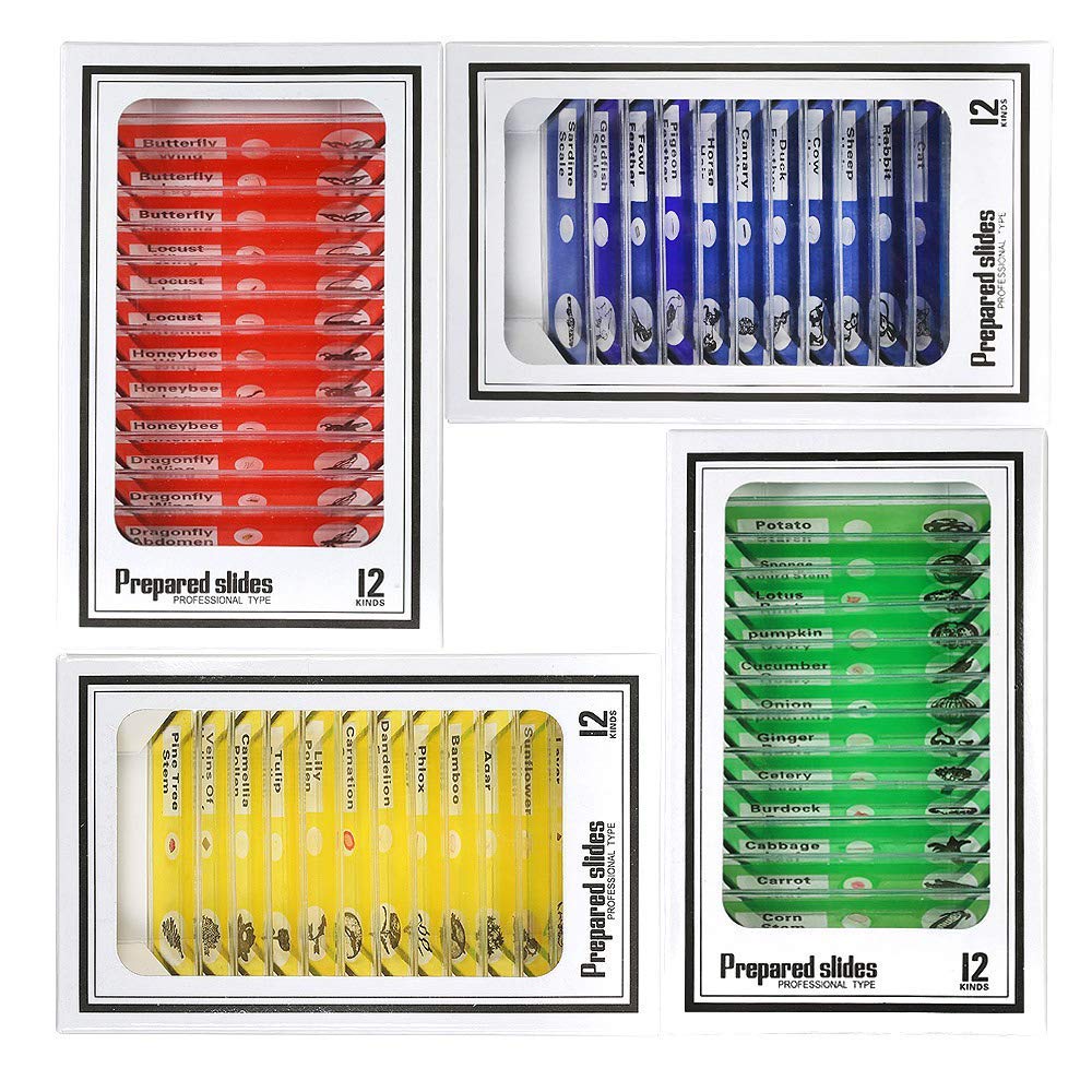 Bysameyee Prepared Microscope Slides for Kids, 48pcs Plastic Animals Insects Plants Flowers Sample Specimens for Students Children Homeschooling Biology Science Programs