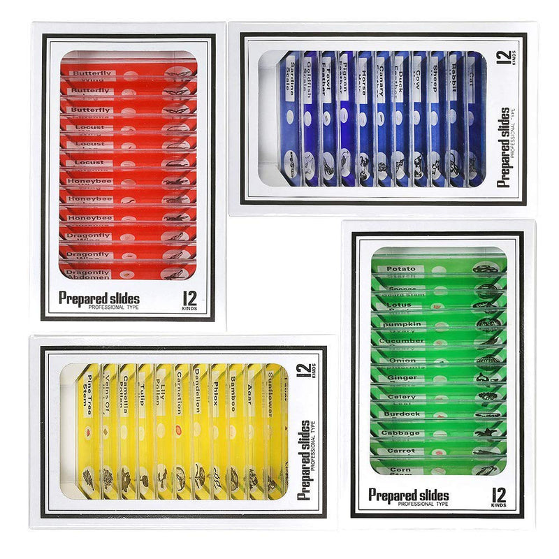 Bysameyee Prepared Microscope Slides for Kids, 48pcs Plastic Animals Insects Plants Flowers Sample Specimens for Students Children Homeschooling Biology Science Programs