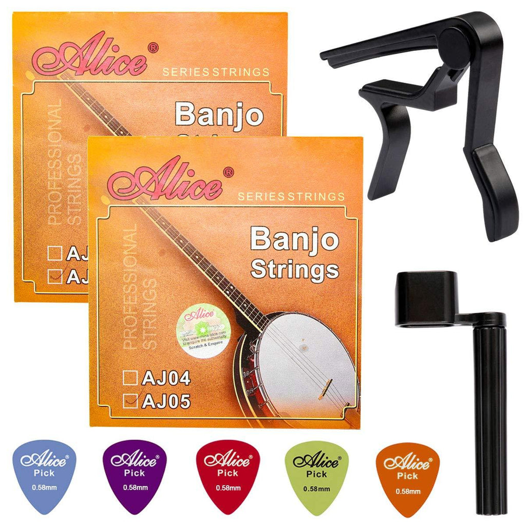 Banjo Strings, Yoklili 2 Sets of 5-String Plated Steel Banjo Strings Set, Light, 09-20, Bonus 5 Matte Nylon Standard Picks, String Winder and Capo included