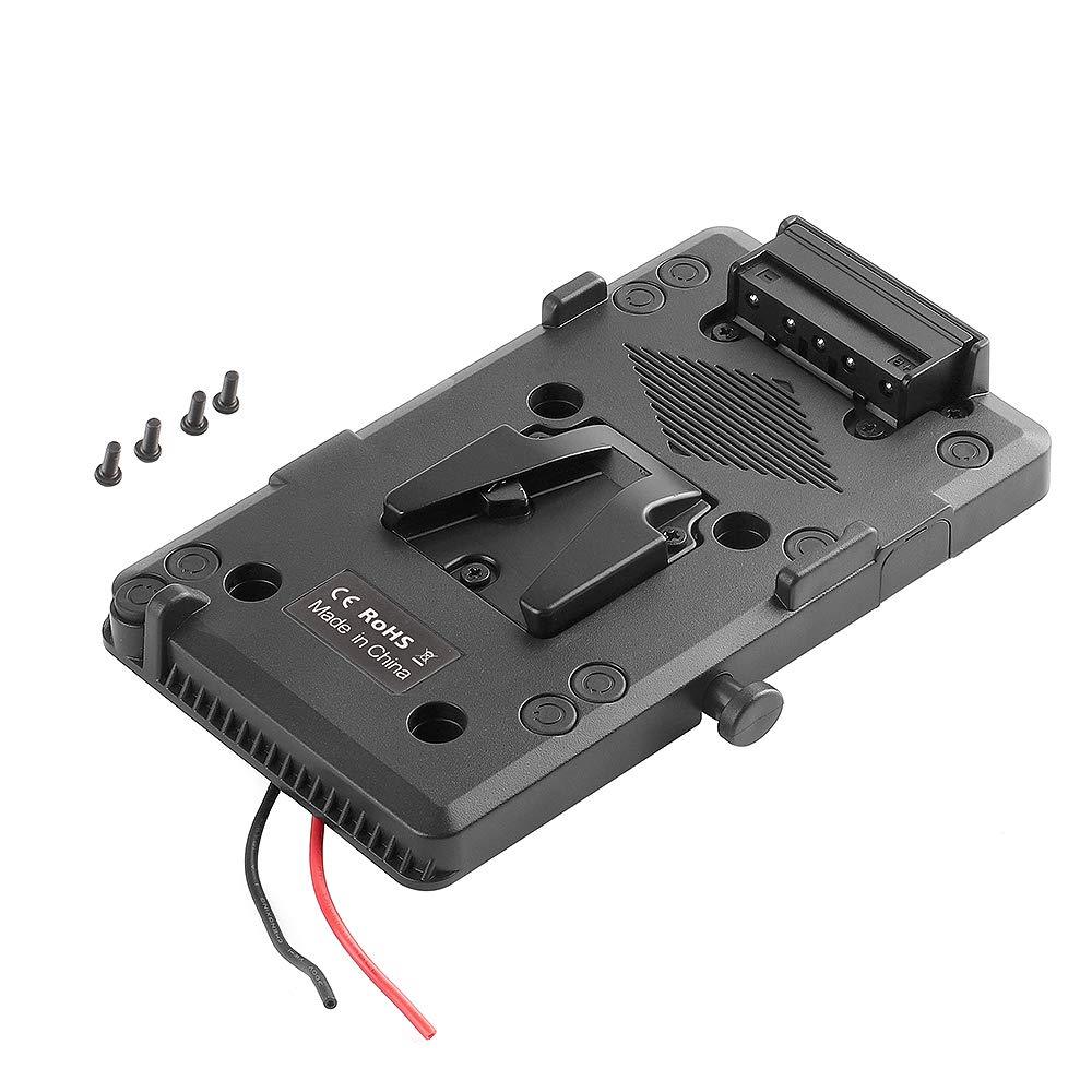 Runshuangyu V-Mount V-Lock D-Tap BP Battery Plate for Sony DSLR DV SLR Video Cameras, External Back Pack Adapter