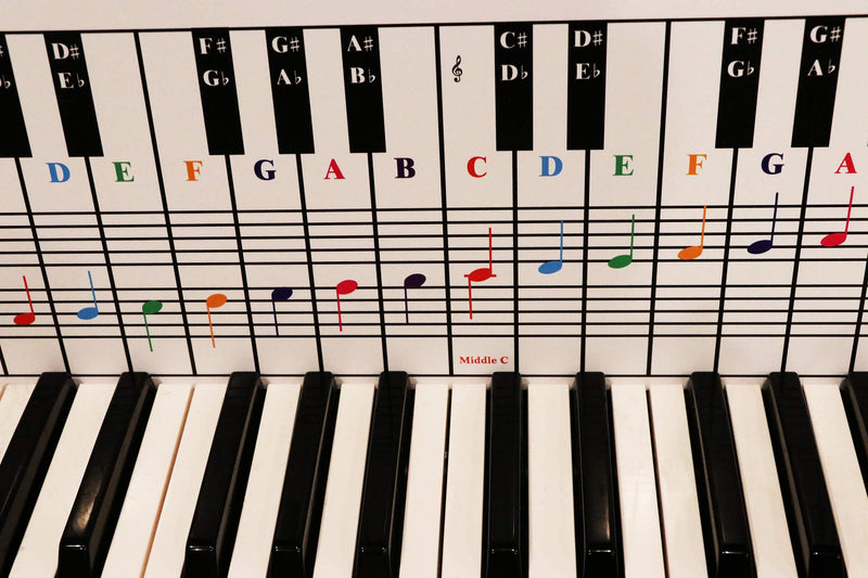 Piano and Keyboard Note Chart, Use Behind the Keys, Ideal Visual Tool for Beginners Learning Piano or Keyboard, Easy to Set Up, for any Medium to Full Size Piano or Keyboard, Cover Four Octaves