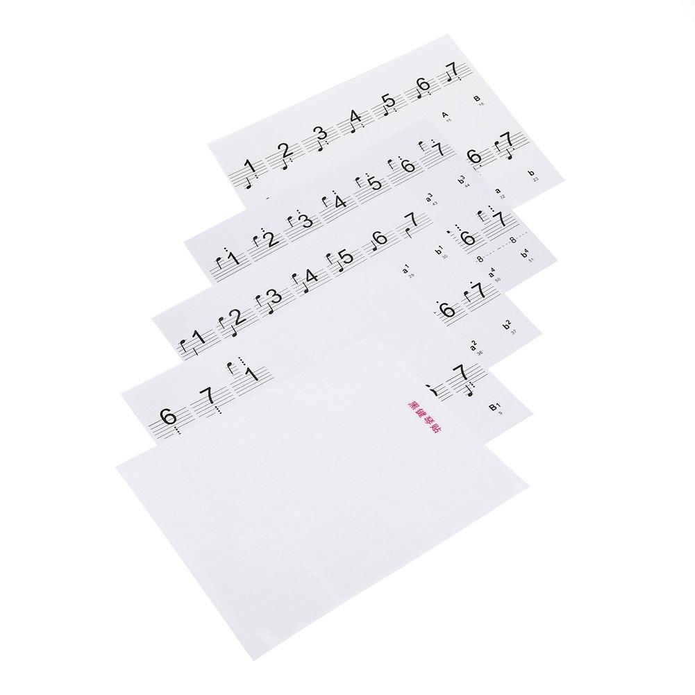 Alomejor Piano Stickers Piano Keyboard Music Note 88 Keys Removable Piano Key Tabs Stickers for White and Black Keys Transparent