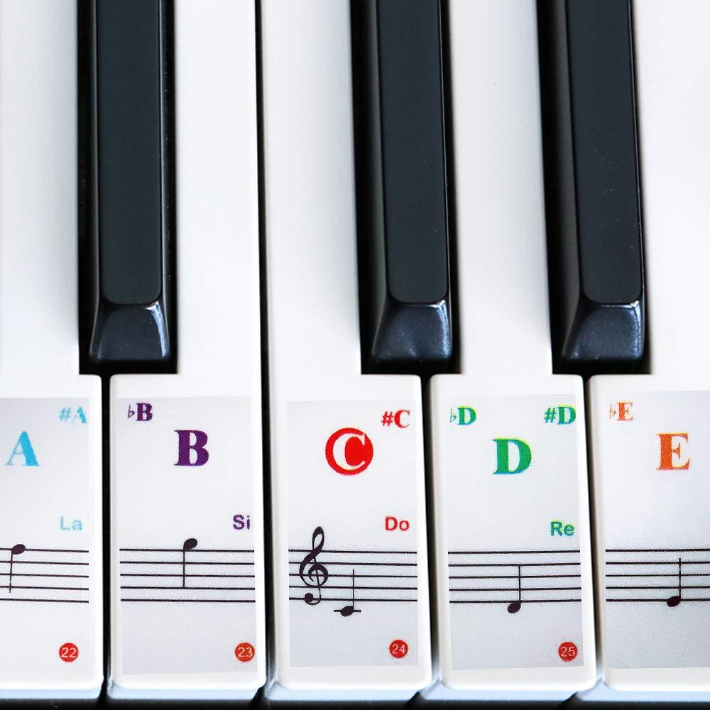 IHUKEIT Color Piano Stickers for Keys 88/61/54/49/37/32 Keyboards - Transparent Removable Piano Key Stickers for Both Adult and Kids Piano Beginners