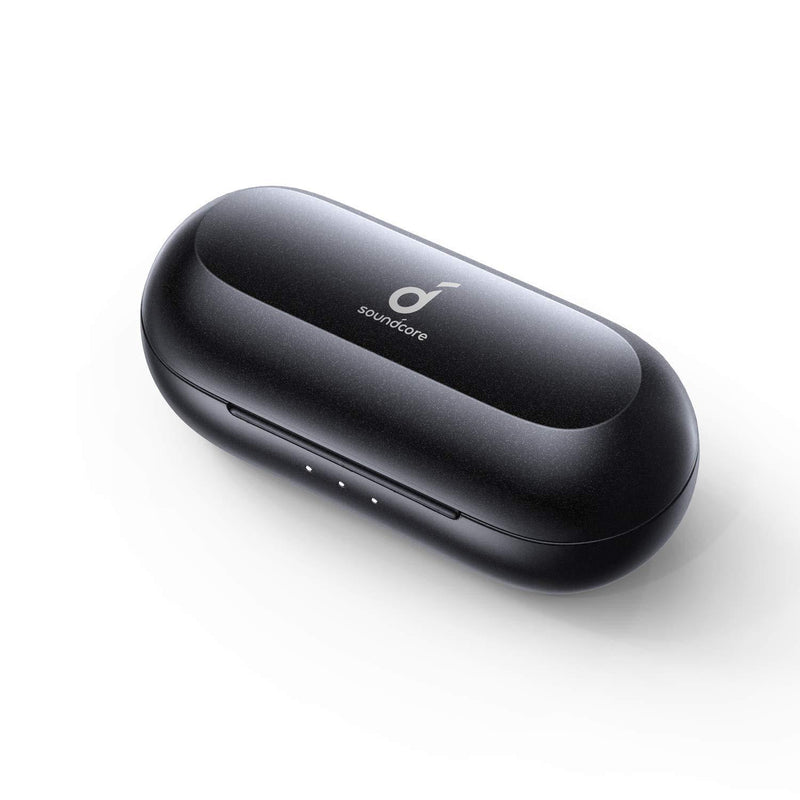 Anker Soundcore Charging Case for Liberty Neo True Wireless Earbuds