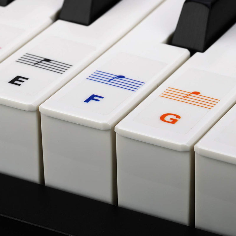 Reditmo Piano Stickers for Keys, 37/49/54/61/88 Keys Black and White Keys Universal, Muti-Color, Transparent, Removable, Easy to Remove Without Residue Multi-colored