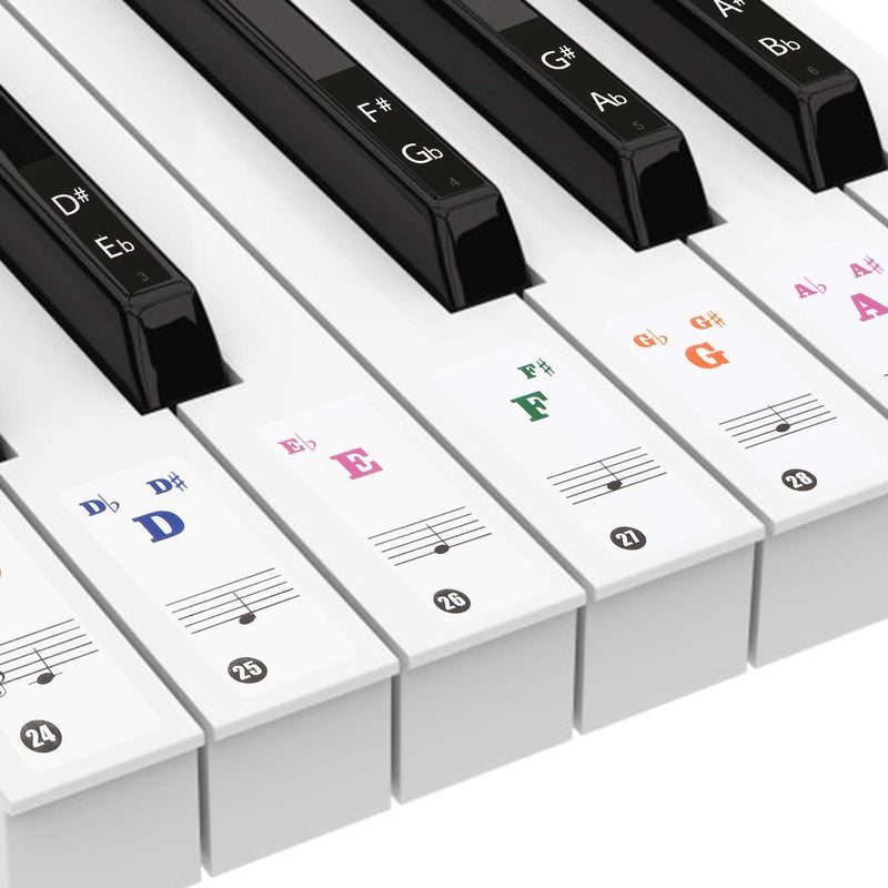 Colorful Piano Stickers for 49/54/61/88 Key Keyboard, Full Set Sticker for Kids & Beginners, Superior Printed Bold Letters and Musical Notes, Quality Transparent Stickers Remove Without Residue