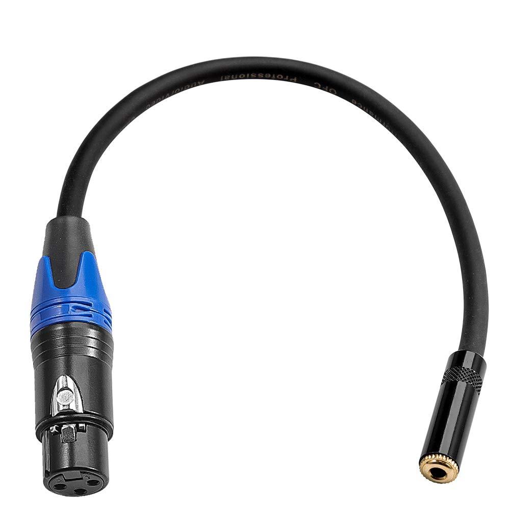 [AUSTRALIA] - DISINO Female XLR to 1/8 Stereo Cable,Balanced XLR Female to 3.5mm(1/8 inch) Female TRS Mini Jack Audio Converter Adapter Cable - 1feet/30cm 1 Feet 