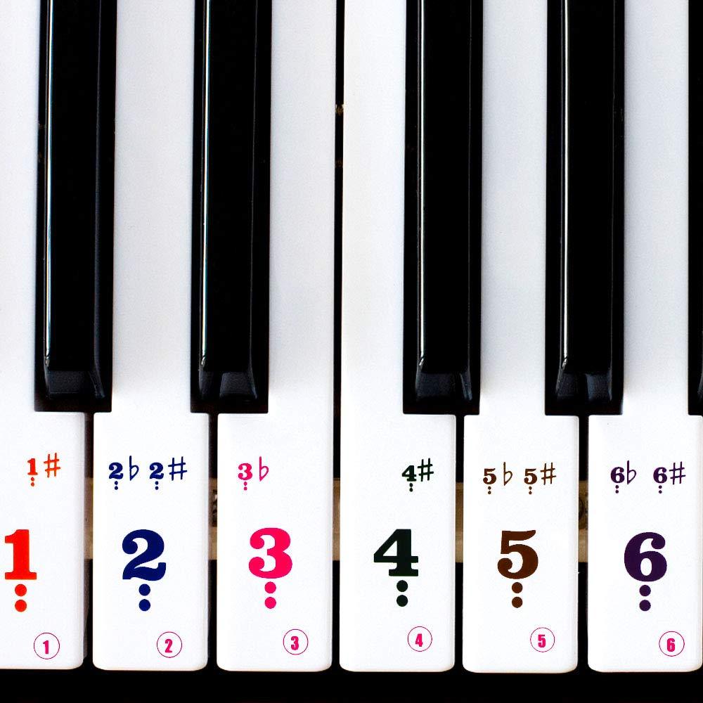 Black Figure Piano Keyboard Stickers Transparent Removable for 88/61/54 Keys, for Kids Learning Piano, Leaves No Residue (61 keys colours)