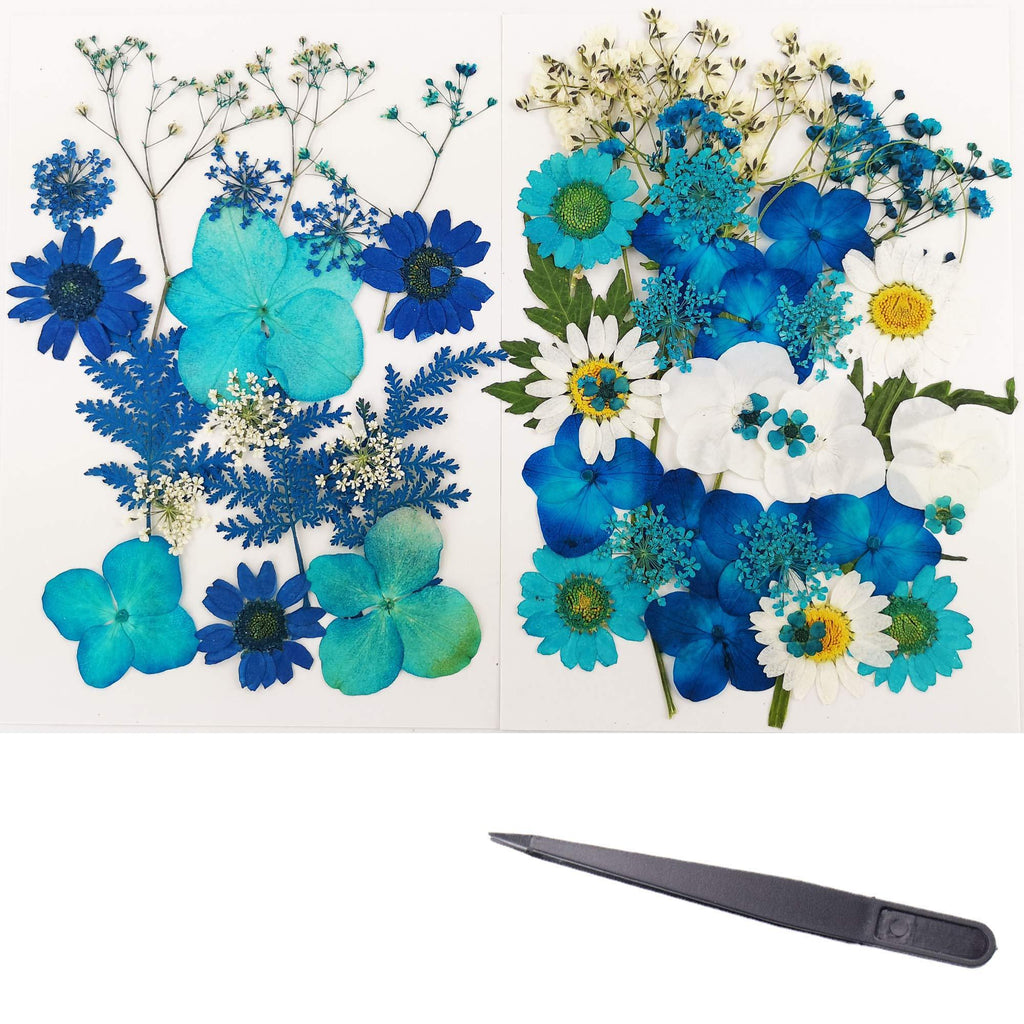 Blue 53pcs Real Dried Pressed Flowers Leaves Petals, Josisi Colorful Pressed Flowers Daisies for Art DIY Crafts-DIY Candles, Resin Jewelry, Art Nail, Pendant Crafts, Making Art Floral Decors, Make-up Blue-53pcs