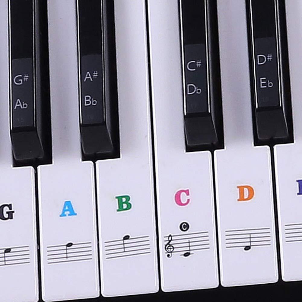 Piano Keyboard Stickers for 88/61/54/49/37 Key. Colorful Large Bold Letter Piano Stickers. Perfect for kids Learning Piano. Multi-Color,Transparent,Removable