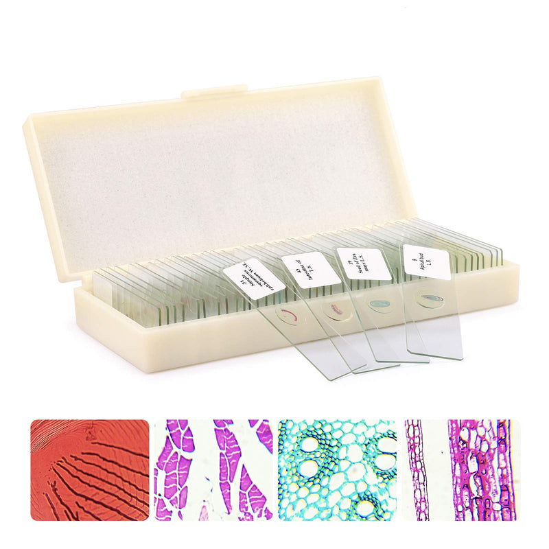 QUNSE 50PCS Microscope Slides Prepared Lab Specimens Biological Sample with Insects Plants Animals Bacteria Education Science (50PCS)