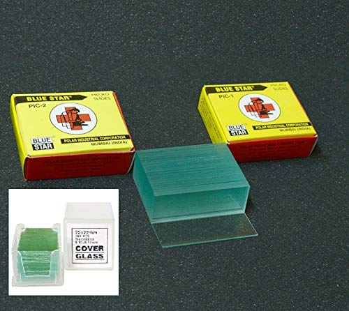 Aggstrom 50 Pre-Cleaned Blank Glass Microscope Slides and 100pc Pre-Cleaned Square Glass Cover Slips Coverslips