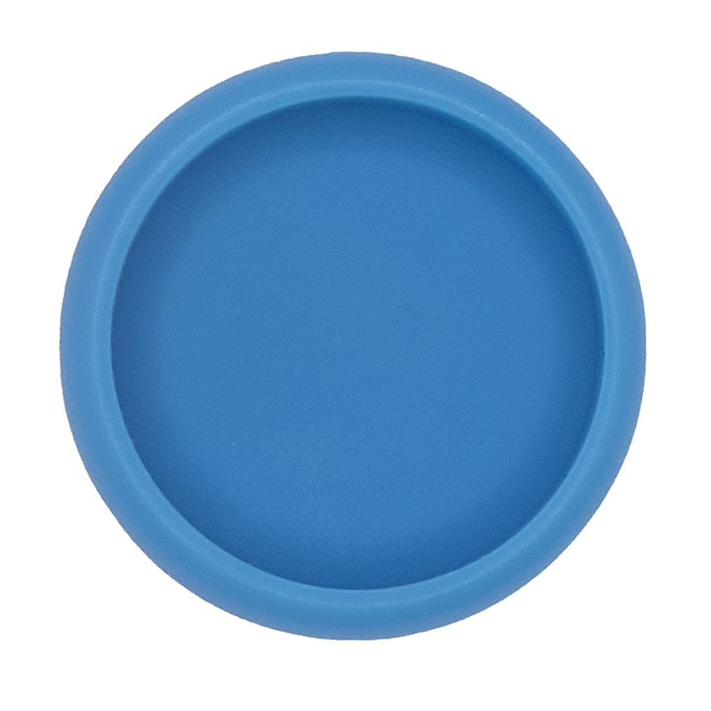 Hidden Gem Discbound Notebook Discs, 11 Plastic Pieces Blue 1-inch/24mm
