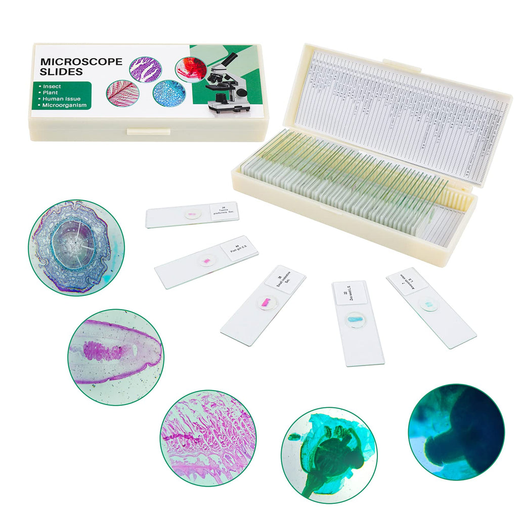 50 Prepared Microscope Slides with Specimens for Kids Students - Plants Insects Fish Animals Human Tissue Cells Samples, for Biological Science Lab, Children Education, Homeschool 50 Pcs