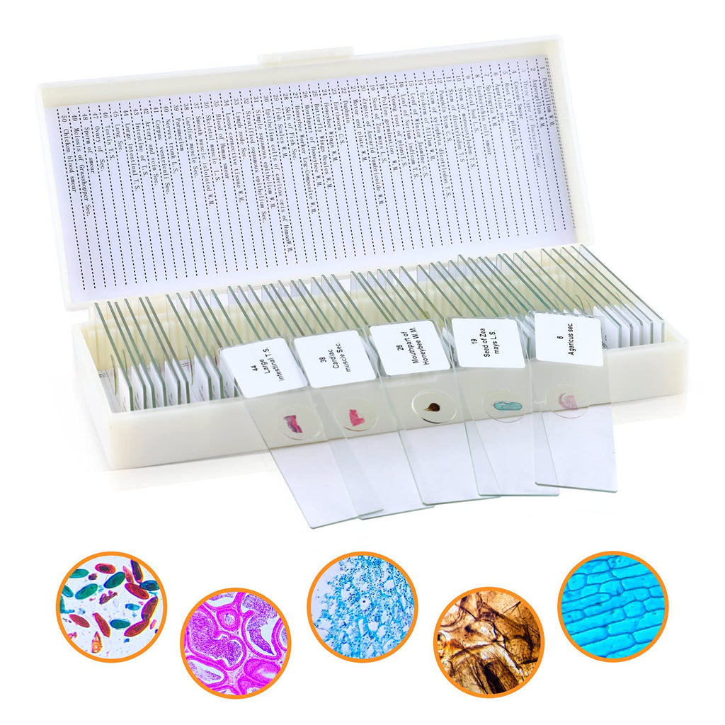 50pcs Prepared Microscope Slides for Kids,Preloaded Microscope Slides with Specimens for Kids Adults,Microscope Slide Set Including Insects Human Body,Use for Physiology,Enlighten Education YSJP-XU1-203