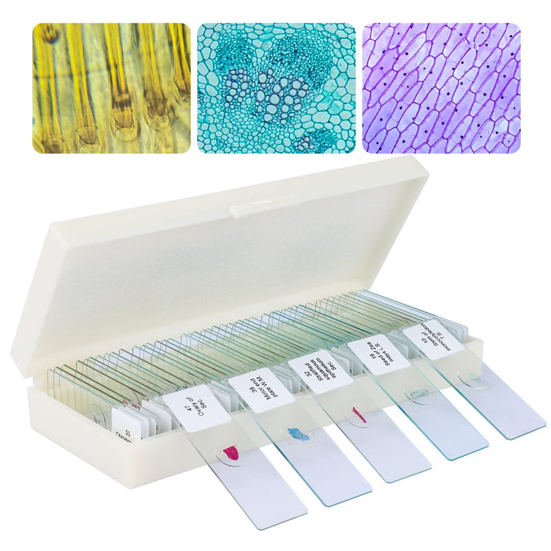 50 Pcs Microscope Slides Prepared for Student Kids Glass Microscope Slides with Lab Specimens Biological Sample with Insects Plants Animals Bacteria 50Pcs