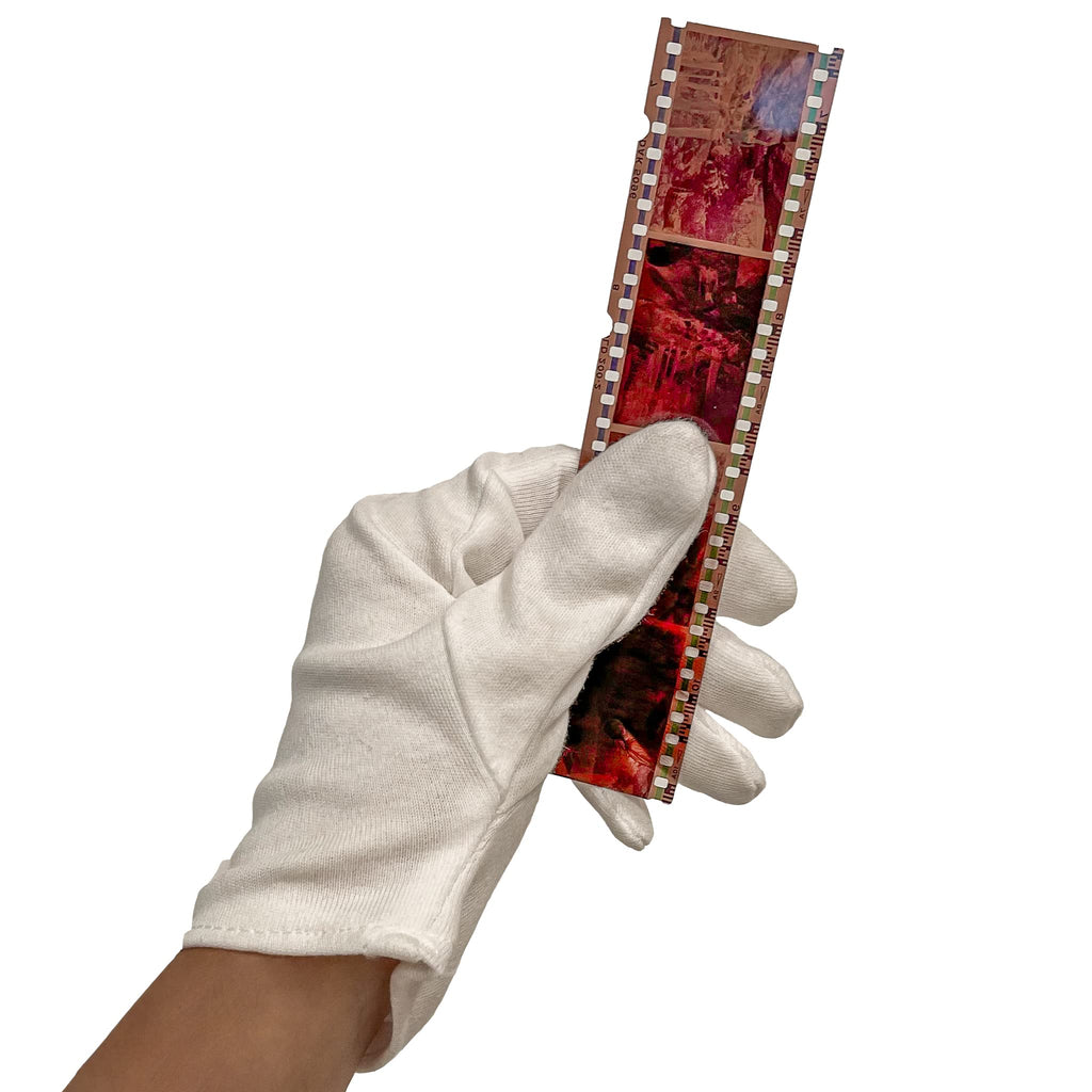 Photomyne Photo Handling Cotton Gloves