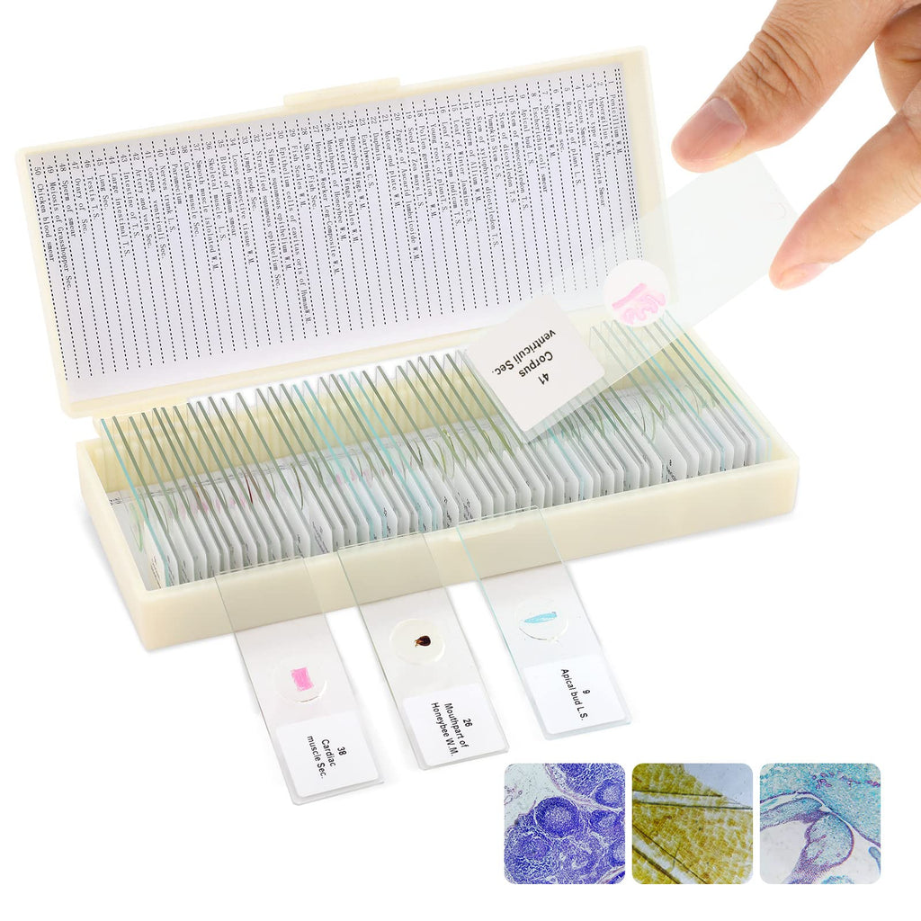 50Pcs Prepared Microscope Slides Animals Insects Plants Bacterial Sample Biological Slide Specimen for Kids Students Adults, for Science Study and Education 50pcs