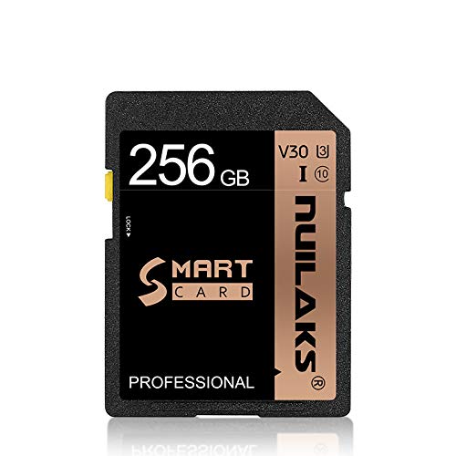 256GB SD Card Memory Card Fast Speed Security Digital Flash Memory Card Class 10 for Camera,Videographers，Vloggers and SD Card Compatible Devices(256GB)
