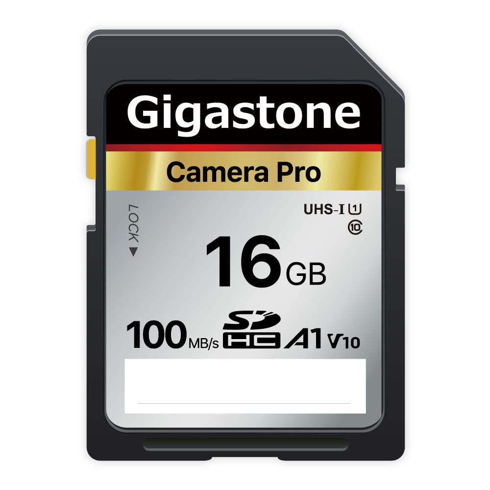 Gigastone 16GB SD Card V10 SDHC Memory Card High Speed Full HD Video Compatible with Canon Nikon Sony Pentax Kodak Olympus Panasonic Digital Camera SD 16GB V30 1PK