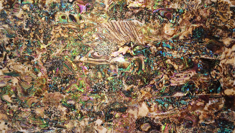 [AUSTRALIA] - Pure Paua Abalone Shell Sheet for Inlay and Overlay with Backside Tape (9.4" x 5.5" x 0.007") 