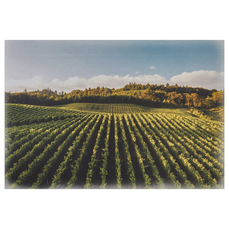 Hoffman Fabrics Hoffman Digital Through The Vine 29.75'' Panel Fabric, Vineyard