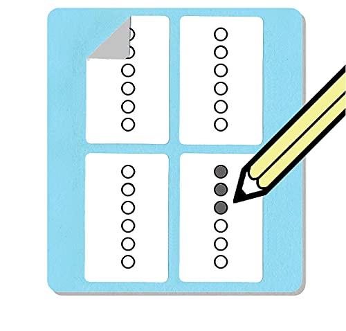 Tin Whistle, Basuri & Native American Flute Fingering Sticker Set (250 Per Pack) Super handy for students and teachers!