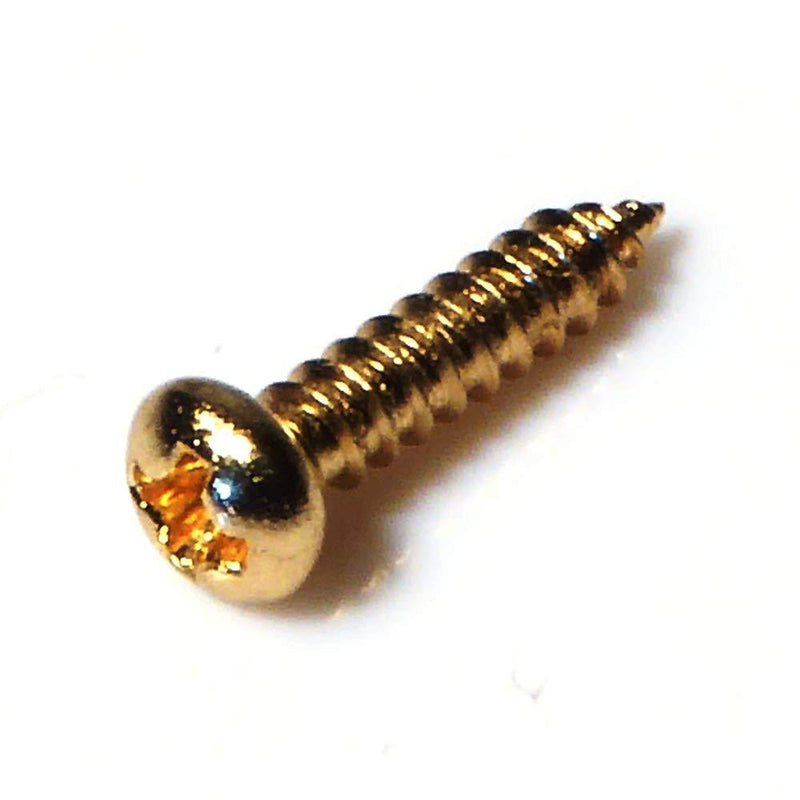 50 Gold Guitar Machine Head Screws