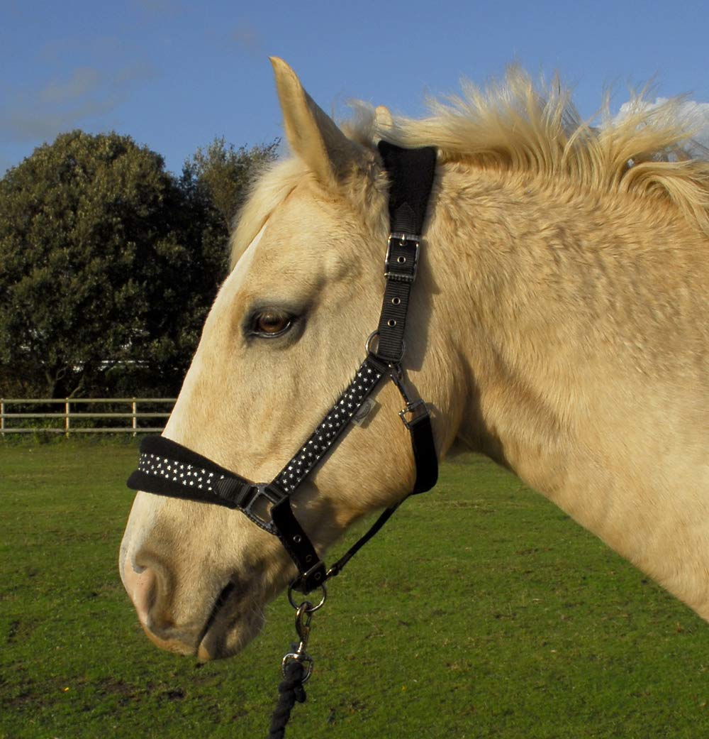 Rhinegold Star Spangled Headcollar & Rope Set Black Cob